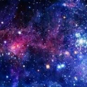 Meet your Posher, Gracie